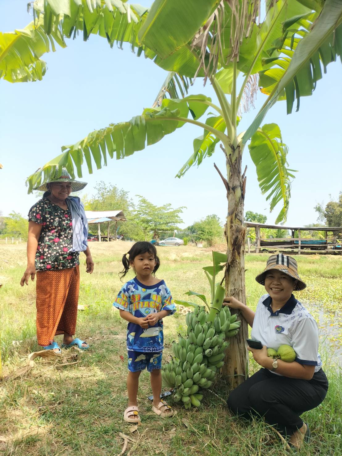 CDD LAMPLAIMAT : GROWTH TEAM LAMPLAIMAT BURIRAM 📣พช.ลำปลายมาศ ลงพื้นที่ติดตามสนับสนุนการดำเนินงานหมู่บ้านเศรษฐกิจพอเพียง โคกหนองนา แปลงนาย นายเอื้อน การัมย์ บ้านหนองตาหล่า หมู่ที่ 8 ตำบลแสลงพัน