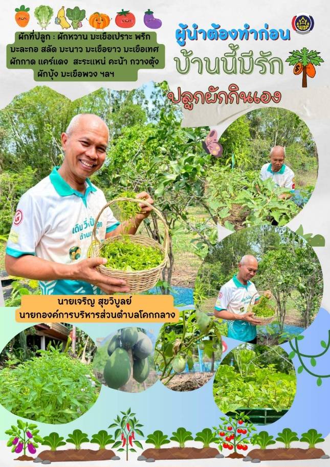 CDD LAMPLAIMAT : GROWTH TEAM LAMPLAIMAT BURIRAM📣พช.ลำปลายมาศ เผยแพร่ประชาสัมพันธ์กิจกรรมการสร้างความมั่นคงทางอาหาร ผู้นำต้องทำก่อน 