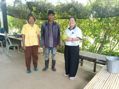 CDD LAMPLAIMAT : GROWTH TEAM LAMPLAIMAT BURIRAM📣พช.ลำปลายมาศ กลุ่มโอทอปปลูกแตงแคนตาลูปปลอดสาร นางแสงจันทร์ ปวงสุข บ้านแสลงพันพัฒนา ม.14 ตำบลแสลงพัน  อำเภอลำปลายมาศ จังหวัดบุรีรัมย์ 