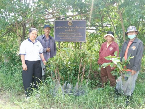 CDD LAMPLAIMAT : GROWTH TEAM LAMPLAIMAT BURIRAM📣พช.ลำปลายมาศ ลงพื้นที่ติดตามสนับสนุนการดำเนินงานโคกหนองนา แปลงนายสำราญ ปวงสุข บ้านแสลงพันพัฒนา หมู่ที่ 14 ตำบลแสลงพัน อำเภอลำปลายมาส จังหวัดบุรีรัมย์